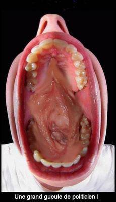 fam hmar darla fih machina