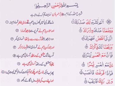 �����������������